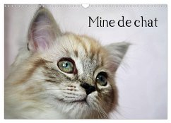 Mine de chat (Calendrier mural 2026 DIN A3 vertical), CALVENDO calendrier mensuel