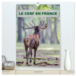 LE CERF EN FRANCE (Calendrier mural 2026 DIN A2 horizontal) calendrier de bureau
