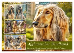 Afghanischer Windhund. Eleganter Sichtjäger und sensibler Couch-Potatoe (Wandkalender 2026 DIN A4 quer), CALVENDO Monatskalender