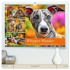 Whippet Wunder. Grazile Hunde mit sanfter Kraft und feiner Seele (hochwertiger Premium Wandkalender 2026 DIN A2 quer), Kunstdruck in Hochglanz Whippet Wunder. Grazile Hunde mit sanfter Kraft und feiner Seele (hochwertiger Premium Wandkalender 2026 DIN A2 quer), Kunstdruck in Hochglanz