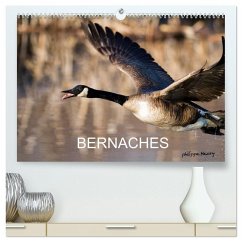 Cover BERNACHES (Calendrier mural 2026 DIN A2 vertical) calendrier de bureau