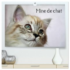 Mine de chat (Calendrier mural 2026 DIN A2 vertical) calendrier de bureau