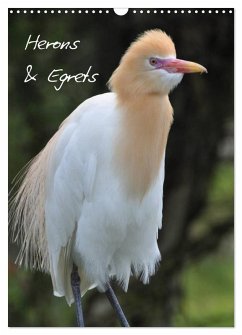 Cover Herons & Egrets (Wall Calendar 2026 DIN A3 portrait), CALVENDO 12 Month Wall Calendar