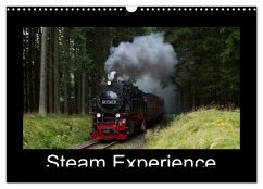 Steam Experience (Wall Calendar 2026 DIN A3 landscape), CALVENDO 12 Month Wall Calendar Steam Experience (Wall Calendar 2026 DIN A3 landscape), CALVENDO 12 Month Wall Calendar