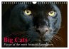 Big Cats ¿ Faces of the most beautiful... - Bild 1