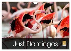 Just Flamingos (Wall Calendar 2026 DIN A4 landscape), CALVENDO 12 Month Wall Calendar