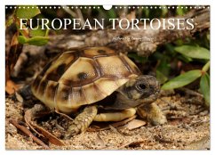European Tortoises / UK-Version (Wall Calendar 2026 DIN A3 landscape), CALVENDO 12 Month Wall Calendar European Tortoises / UK-Version (Wall Calendar 2026 DIN A3 landscape), CALVENDO 12 Month Wall Calendar