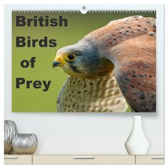 British Birds of Prey (High Quality Premium Wall Calendar 2026 DIN A2 landscape),CALVENDO 12 Month Wall Calendar