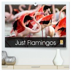 Just Flamingos (High Quality Premium Wall Calendar 2026 DIN A2 landscape),CALVENDO 12 Month Wall Calendar Just Flamingos (High Quality Premium Wall Calendar 2026 DIN A2 landscape),CALVENDO 12 Month Wall Calendar