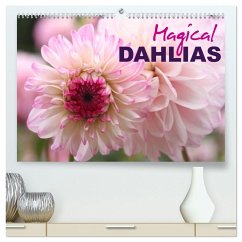 Magical Dahlias (High Quality Premium Wall Calendar 2026 DIN A2 landscape),CALVENDO 12 Month Wall Calendar Magical Dahlias (High Quality Premium Wall Calendar 2026 DIN A2 landscape),CALVENDO 12 Month Wall Calendar