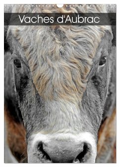 Vaches d'Aubrac (Calendrier mural 2026 DIN A3 horizontal), CALVENDO calendrier mensuel Vaches d'Aubrac (Calendrier mural 2026 DIN A3 horizontal), CALVENDO calendrier mensuel