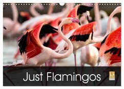 Just Flamingos (Wall Calendar 2026 DIN A3 landscape), CALVENDO 12 Month Wall Calendar Cover Just Flamingos (Wall Calendar 2026 DIN A3 landscape), CALVENDO 12 Month Wall Calendar