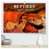 Reptiles Colorful beauties (High... - Bild 1