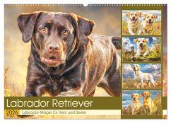 Labrador Retriever. Labrador-Magie für Herz und Seele (Wandkalender 2026 DIN A2 quer), CALVENDO Monatskalender Labrador Retriever. Labrador-Magie für Herz und Seele (Wandkalender 2026 DIN A2 quer), CALVENDO Monatskalender