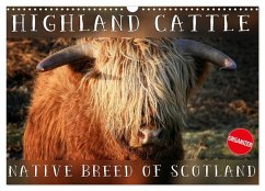 Cover Highland Cattle - Native Breed of Scotland (Wall Calendar 2026 DIN A3 landscape), CALVENDO 12 Month Wall Calendar