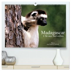 Madagascar L'île aux merveilles (Calendrier mural 2026 DIN A2 vertical) calendrier de bureau