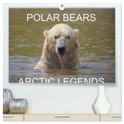 POLAR BEARS - ARCTIC LEGENDS (High Quality Premium Wall Calendar 2026 DIN A2 landscape),CALVENDO 12 Month Wall Calendar