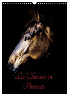Chevaux en Portraits (Calendrier mural 2026 DIN A3 horizontal), CALVENDO calendrier mensuel