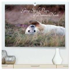 Cover Grey Seal Pups of Donna Nook (High Quality Premium Wall Calendar 2026 DIN A2 landscape),CALVENDO 12 Month Wall Calendar