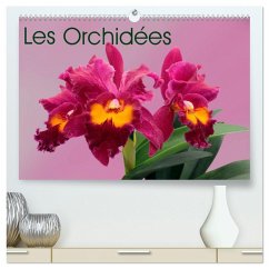 Cover Les Orchidées (Calendrier mural 2026 DIN A2 vertical) calendrier de bureau