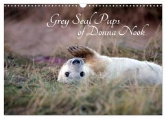Cover Grey Seal Pups of Donna Nook (Wall Calendar 2026 DIN A3 landscape), CALVENDO 12 Month Wall Calendar