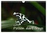 Poison dart frogs / UK-Version /... - Bild 1