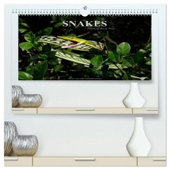 SNAKES / UK-Version (High Quality Premium Wall Calendar 2026 DIN A2 landscape),CALVENDO 12 Month Wall Calendar SNAKES / UK-Version (High Quality Premium Wall Calendar 2026 DIN A2 landscape),CALVENDO 12 Month Wall Calendar