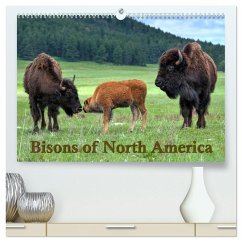 Cover Bisons of North America (High Quality Premium Wall Calendar 2026 DIN A2 landscape),CALVENDO 12 Month Wall Calendar