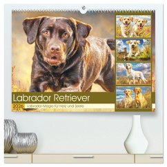 Labrador Retriever. Labrador-Magie für Herz und Seele (hochwertiger Premium Wandkalender 2026 DIN A2 quer), Kunstdruck in Hochglanz
