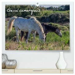 Cover Cheval camarguais (Calendrier mural 2026 DIN A2 vertical) calendrier de bureau