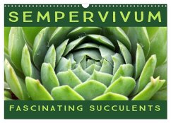 Cover Sempervivum Fascinating Succulents (Wall Calendar 2026 DIN A3 landscape), CALVENDO 12 Month Wall Calendar