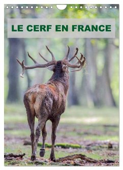 LE CERF EN FRANCE (Calendrier mural 2026 DIN A4 horizontal), CALVENDO calendrier mensuel Cover LE CERF EN FRANCE (Calendrier mural 2026 DIN A4 horizontal), CALVENDO calendrier mensuel