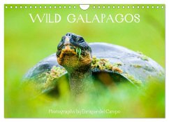 Cover WILD GALAPAGOS (Wall Calendar 2026 DIN A4 landscape), CALVENDO 12 Month Wall Calendar