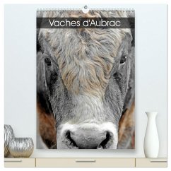 Vaches d'Aubrac (Calendrier mural 2026 DIN A2 horizontal) calendrier de bureau Vaches d'Aubrac (Calendrier mural 2026 DIN A2 horizontal) calendrier de bureau