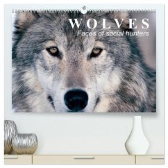 Cover Wolves ¿ Faces of social hunters (High Quality Premium Wall Calendar 2026 DIN A2 landscape),CALVENDO 12 Month Wall Calendar