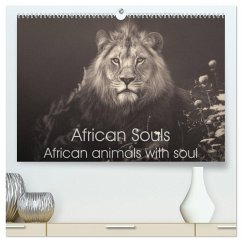 Cover African Souls African animals with soul (High Quality Premium Wall Calendar 2026 DIN A2 landscape),CALVENDO 12 Month Wall Calendar