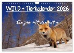 Cover WILD - Tierkalender 2026 (Wandkalender 2026 DIN A4 quer), CALVENDO Monatskalender
