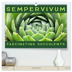 Cover Sempervivum Fascinating Succulents (High Quality Premium Wall Calendar 2026 DIN A2 landscape),CALVENDO 12 Month Wall Calendar