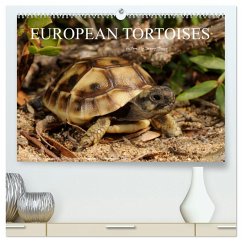 European Tortoises / UK-Version (High Quality Premium Wall Calendar 2026 DIN A2 landscape),CALVENDO 12 Month Wall Calendar European Tortoises / UK-Version (High Quality Premium Wall Calendar 2026 DIN A2 landscape),CALVENDO 12 Month Wall Calendar