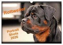 Rottweiler Portait Shots 2026 (Wall Calendar 2026 DIN A3 landscape), CALVENDO 12 Month Wall Calendar
