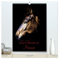 Chevaux en Portraits (Calendrier mural 2026 DIN A2 horizontal) calendrier de bureau