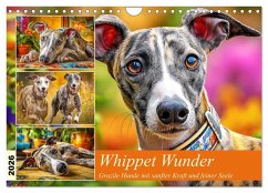 Whippet Wunder. Grazile Hunde mit sanfter Kraft und feiner Seele (Wandkalender 2026 DIN A4 quer), CALVENDO Monatskalender Whippet Wunder. Grazile Hunde mit sanfter Kraft und feiner Seele (Wandkalender 2026 DIN A4 quer), CALVENDO Monatskalender
