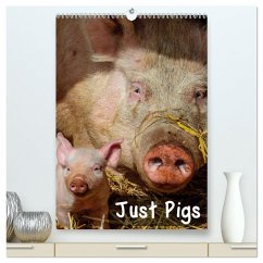 Just Pigs (High Quality Premium Wall Calendar 2026 DIN A2 portrait),CALVENDO 12 Month Wall Calendar Just Pigs (High Quality Premium Wall Calendar 2026 DIN A2 portrait),CALVENDO 12 Month Wall Calendar