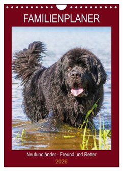 Familienplaner Neufundländer - Freund und Retter (Wandkalender 2026 DIN A4 hoch), CALVENDO Monatskalender Familienplaner Neufundländer - Freund und Retter (Wandkalender 2026 DIN A4 hoch), CALVENDO Monatskalender