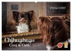 Chihuahuas - Cool and Cute (Wandkalender 2026 DIN A2 quer), CALVENDO Monatskalender Chihuahuas - Cool and Cute (Wandkalender 2026 DIN A2 quer), CALVENDO Monatskalender