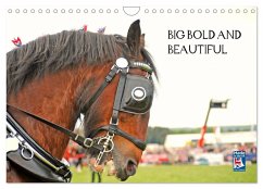 BIG BOLD AND BEAUTIFUL (Wall Calendar 2026 DIN A4 landscape), CALVENDO 12 Month Wall Calendar