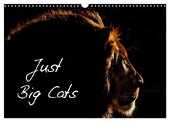 Just Big Cats (Wall Calendar 2026 DIN A3 landscape), CALVENDO 12 Month Wall Calendar Just Big Cats (Wall Calendar 2026 DIN A3 landscape), CALVENDO 12 Month Wall Calendar