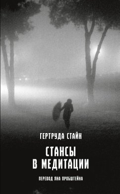Cover Stansy v meditacii