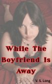 While The Boyfriend Is Away (eBook, ePUB)