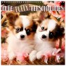 Cute PUPPY PERSONALITIES (Wall Calendar... - Bild 1